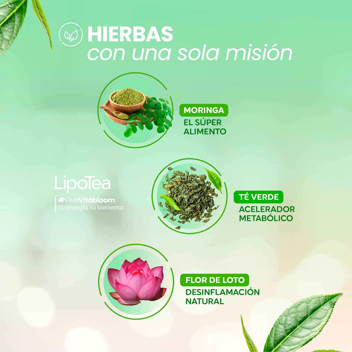 VitaBloom LipoTea ⎸ Detox 14 Dìas Té Adelgazante