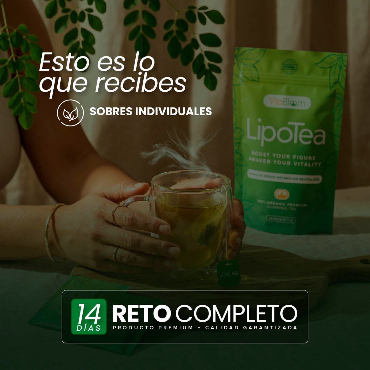 VitaBloom LipoTea ⎸ Detox 14 Dìas Té Adelgazante